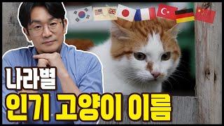 고양이 이름 추천 드립니다. 나라별 고양이 인기 이름 순위 - Youtube