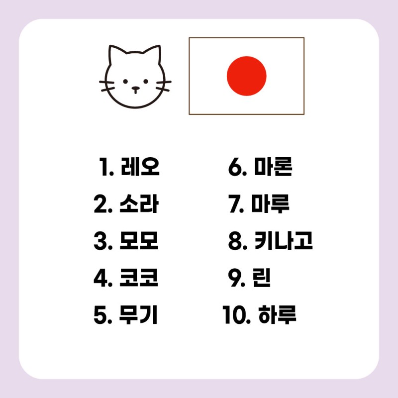 고양이 이름 추천]예쁜 이름 짓기 방법/대답냥이 훈련법(누가 이름을 함부로 짓는가?) : 네이버 블로그